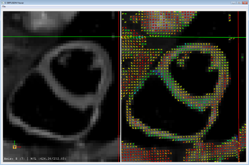 C-Diffusion viewer