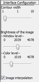 Interface Configuration panel