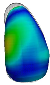 Standardized evaluation system for left ventricular segmentation algorithms in 3D echocardiography