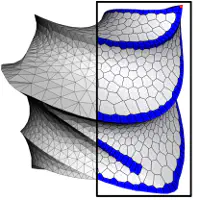 Variational implicit surface meshing