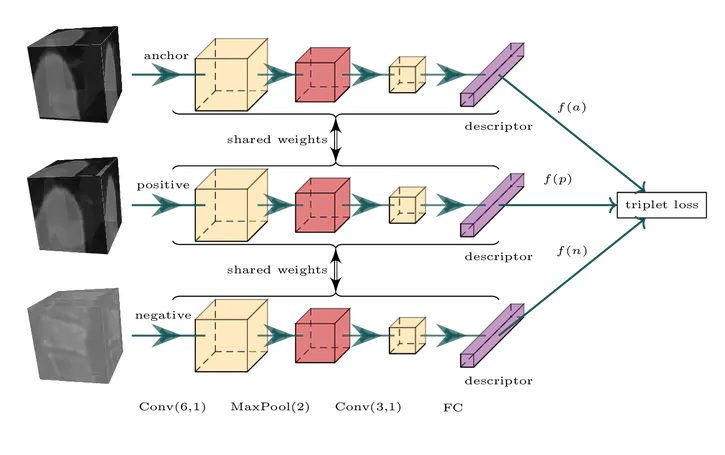 Learning 3D Medical Image Patch Descriptors with the Triplet Loss