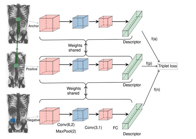 Learning 3D Medical Image Keypoint Descriptors with the Triplet Loss